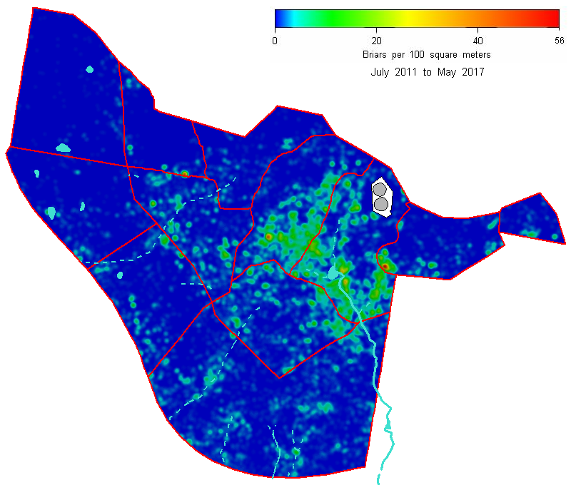 Briar density